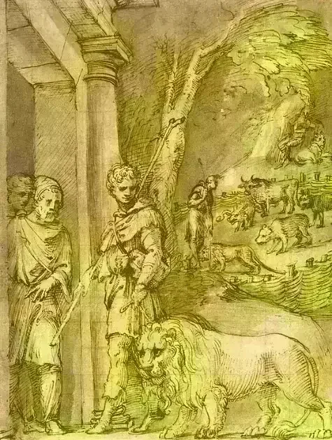 Androcles