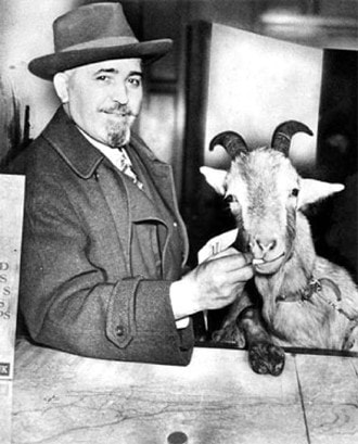 Curse of the Billy Goat
