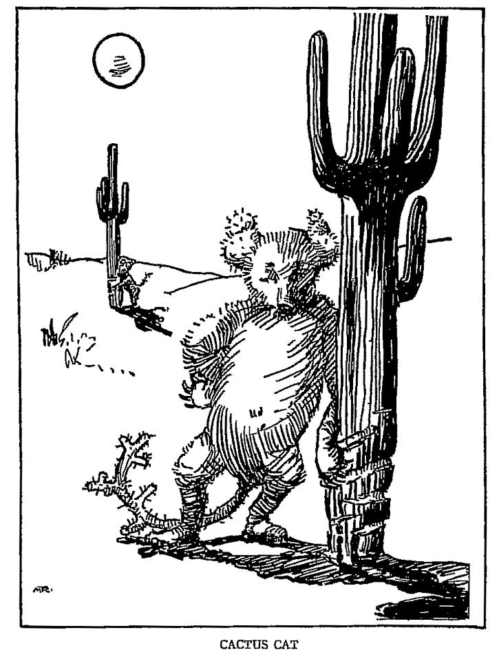 Cactus cat