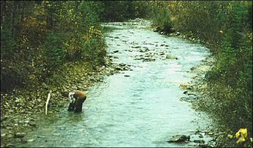 Lost Doukhobor Ledge