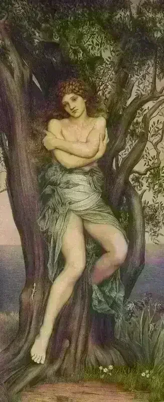 Dryad