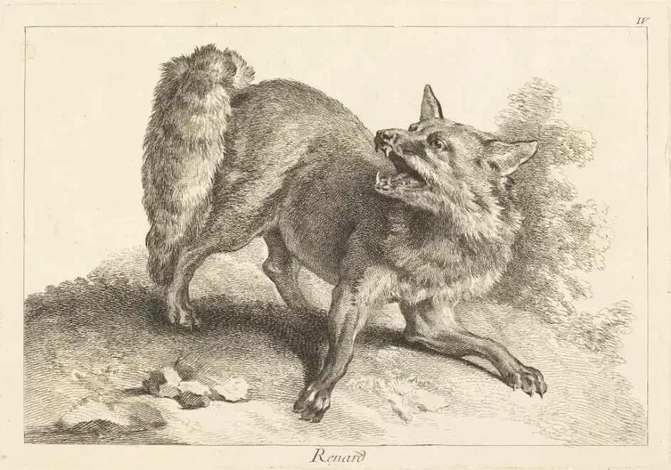 Teumessian fox