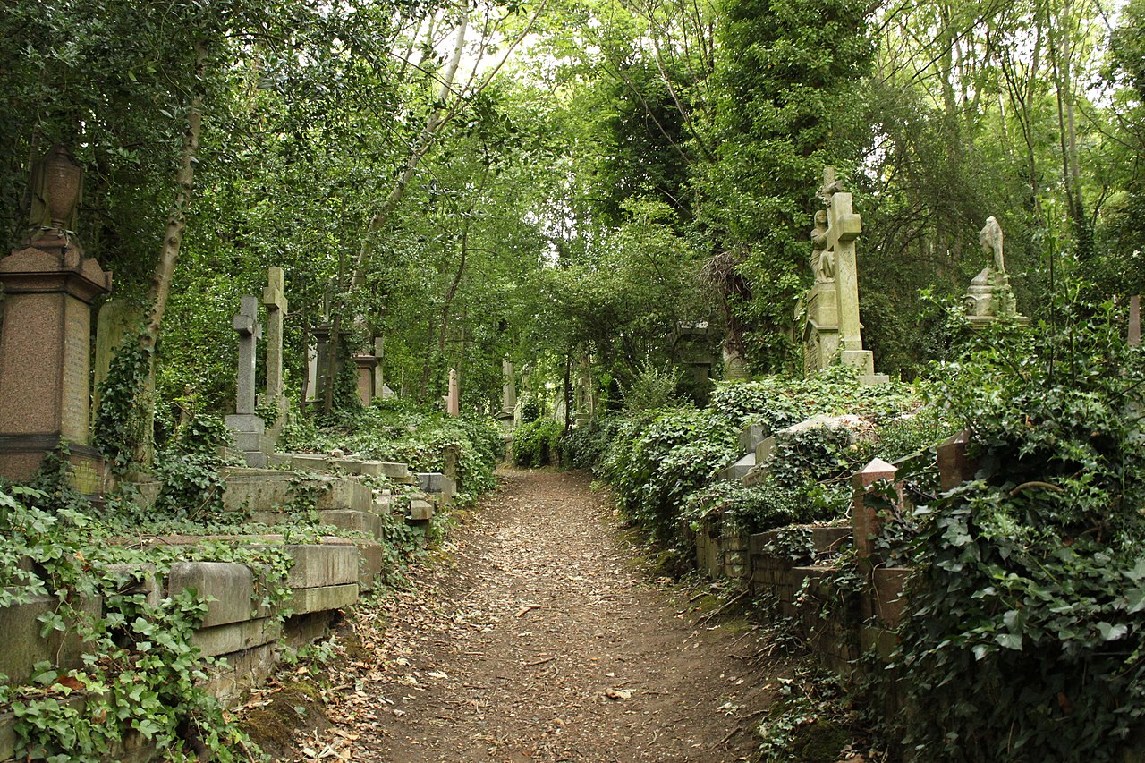 Highgate Vampire