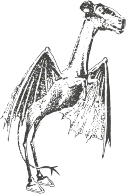 Jersey Devil