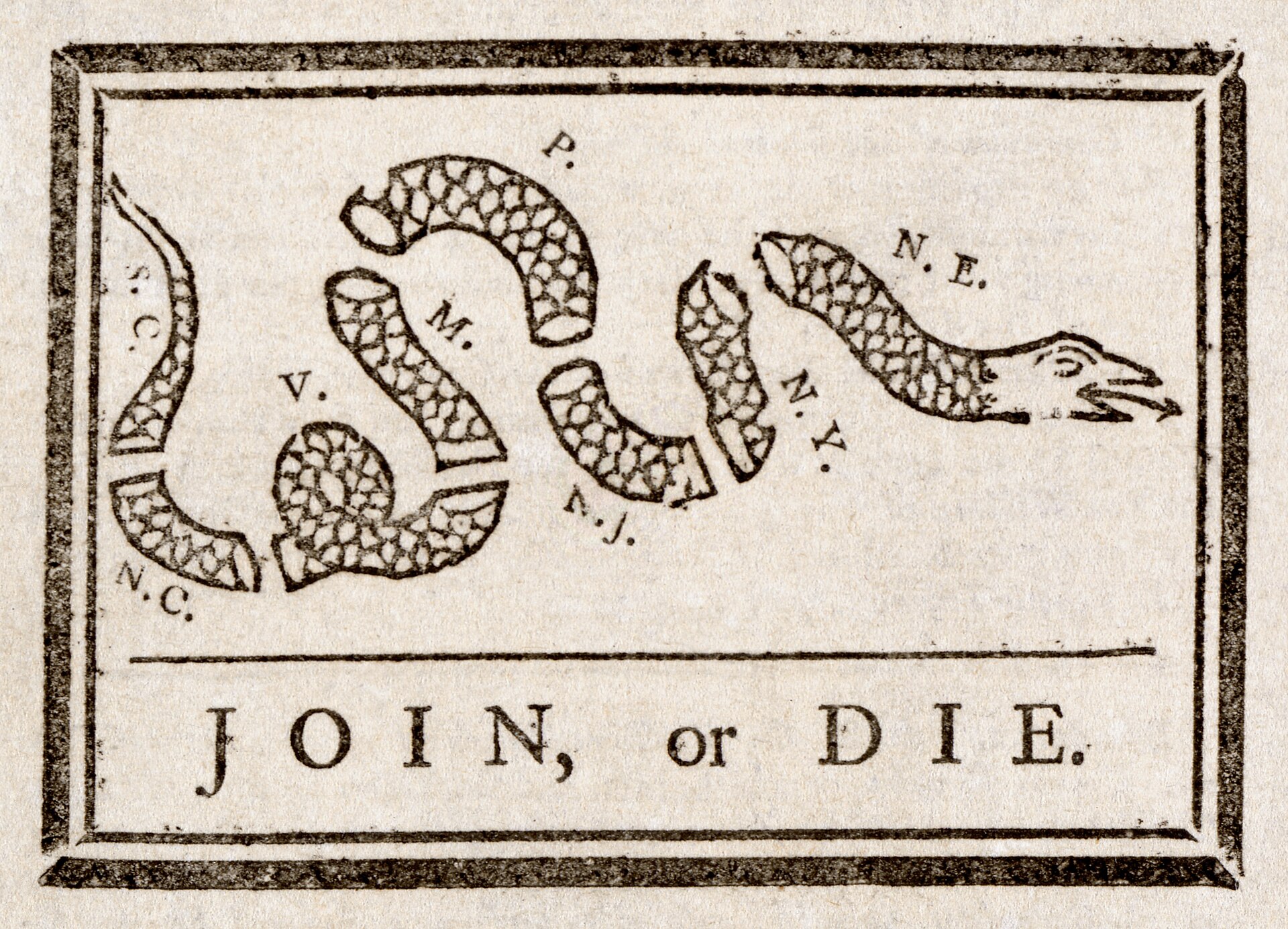 Joint snake