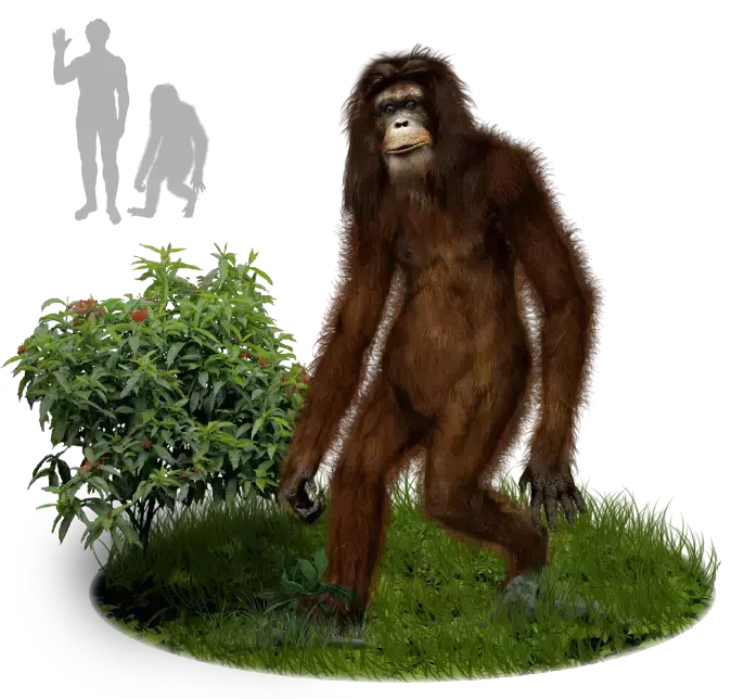 Orang Pendek