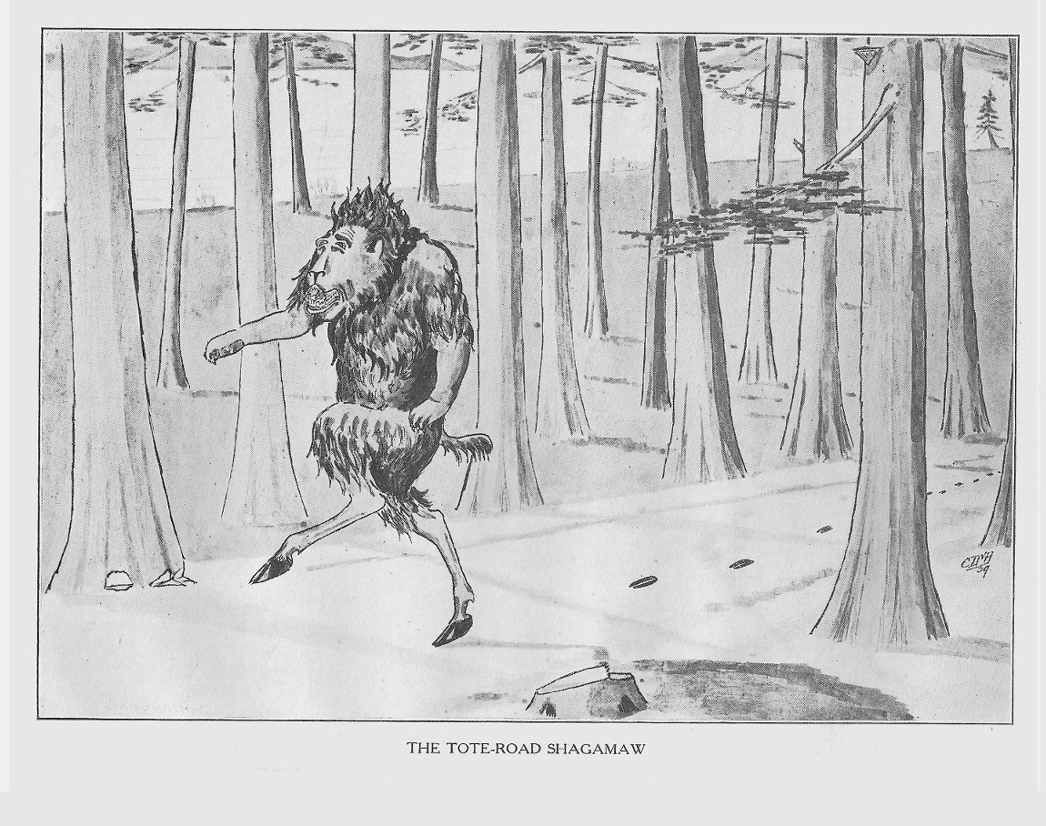 THE TOTE-ROAD SHAGAMAW