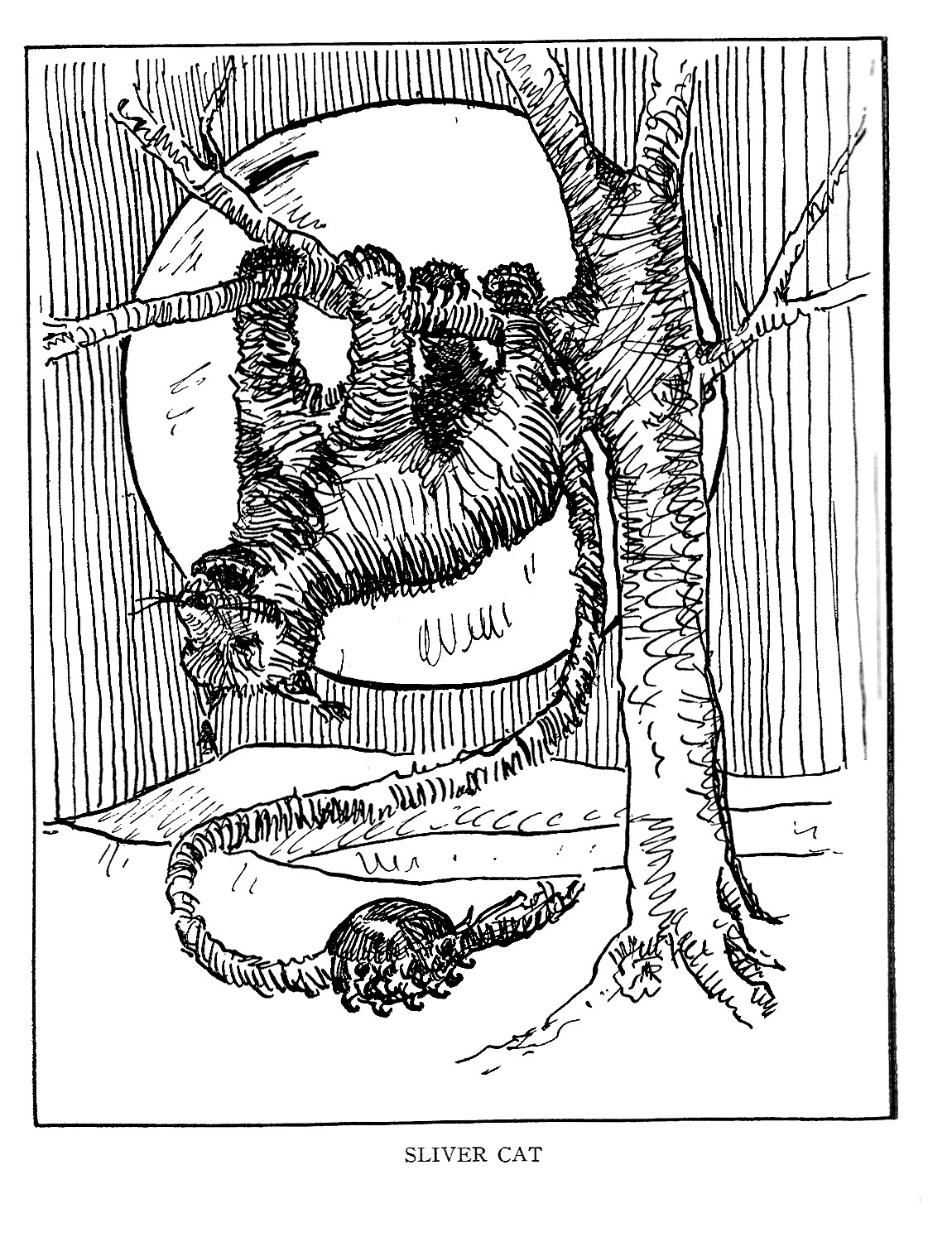 THE SLIVER CAT