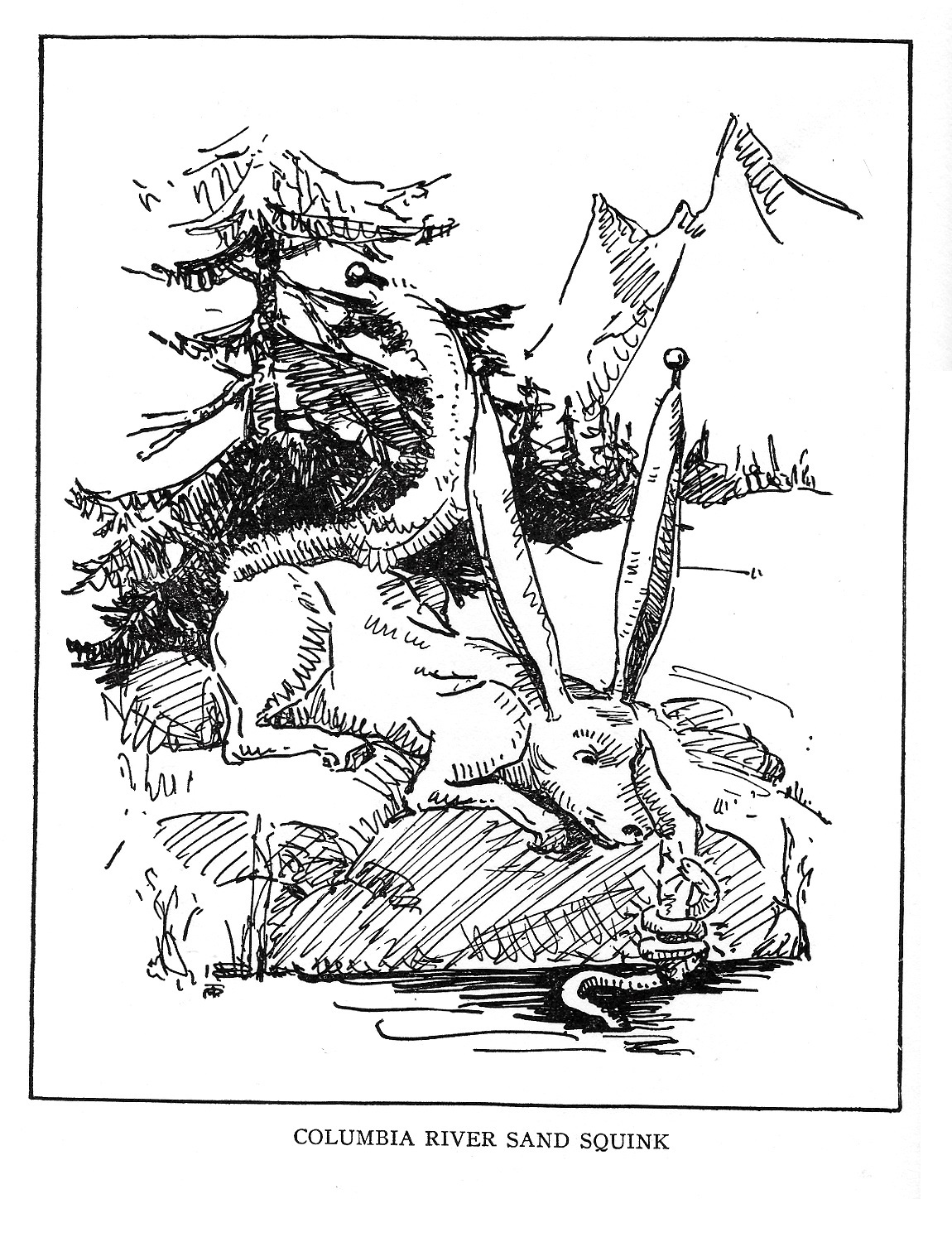 THE COLUMBIA RIVER SAND SQUINK