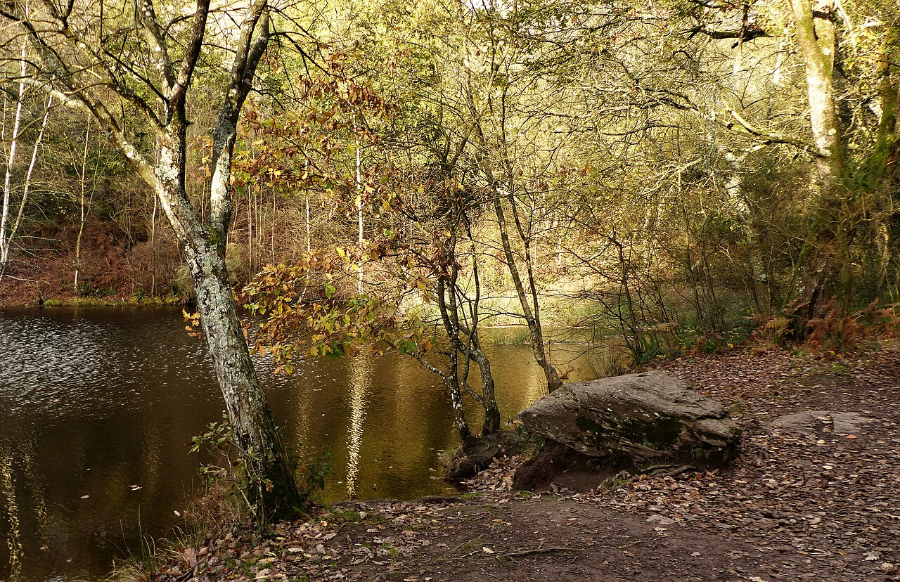 Brocéliande